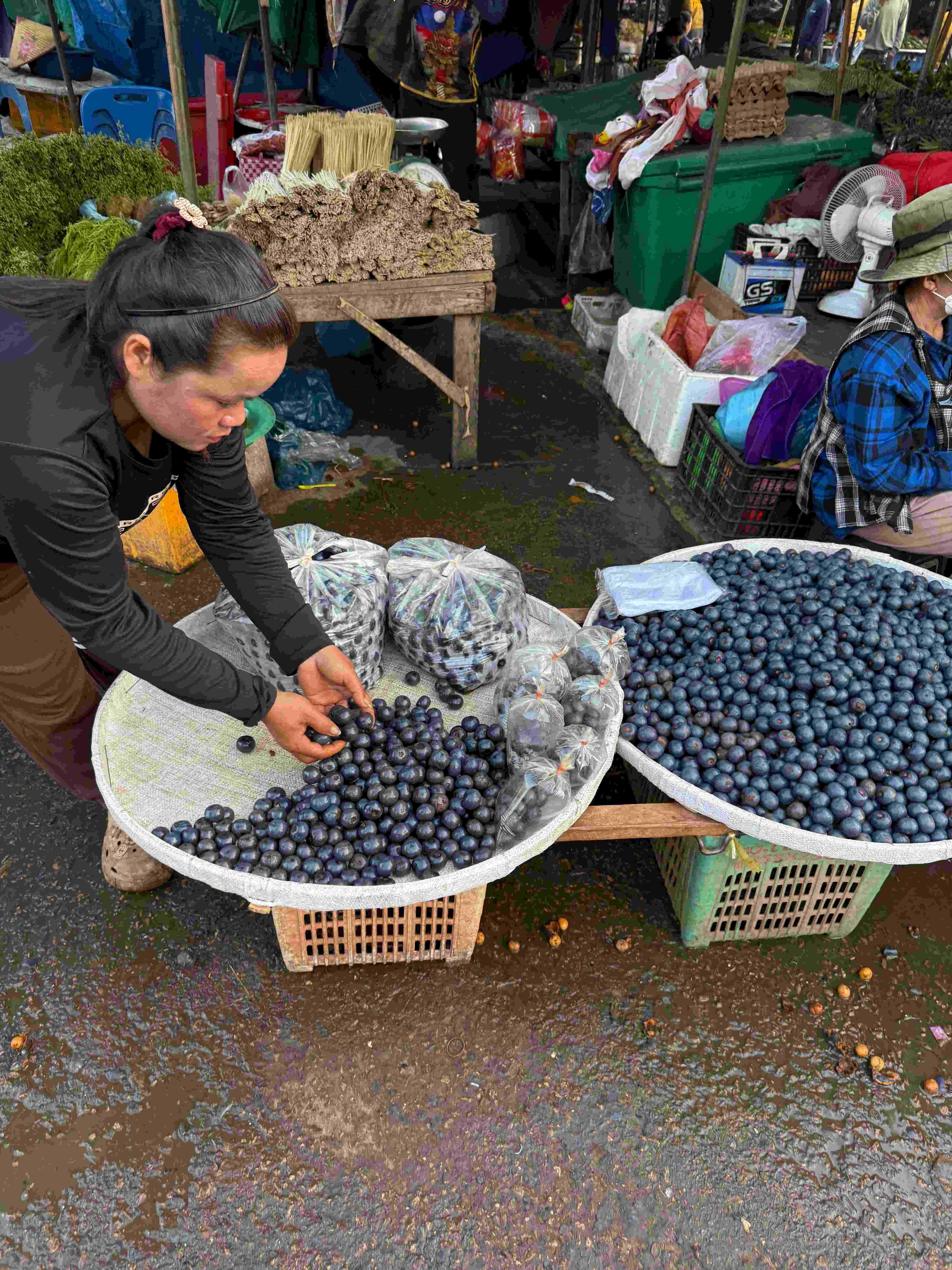 Celebrate Local Traditions